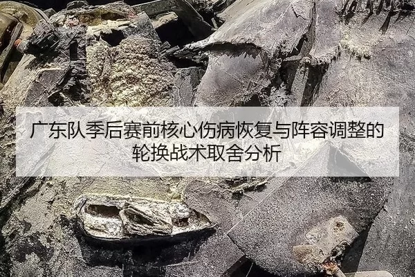 guang-dong-dui-ji-hou-sai-qian-he-xin-shang-bing-hui-fu-yu-zhen-rong-tiao-zheng-de-lun-huan-zhan-shu-qu-she-fen-xi-2-833.jpg
