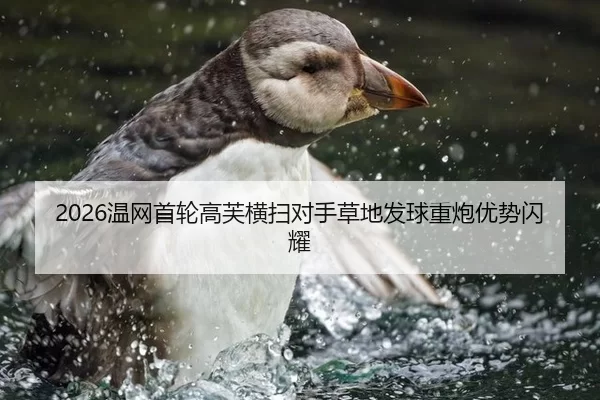 2026温网首轮高芙横扫对手草地发球重炮优势闪耀